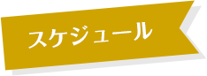 スケジュール